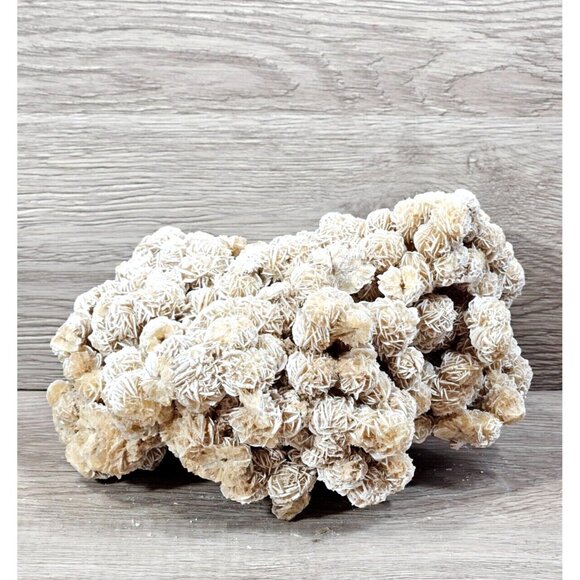 Desert Rose Selenite Natural Raw Gemstone Mineral Crystal Sand Rose Stone 6.5lbs - Picture 2 of 15